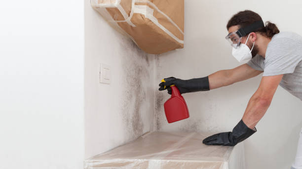 Professional Bathroom Mold Removal technician working in Thorndale, TX